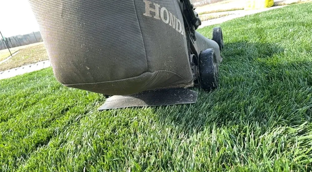 Local lawn mowing service in Simpsonville, SC by Renovation Landscapes