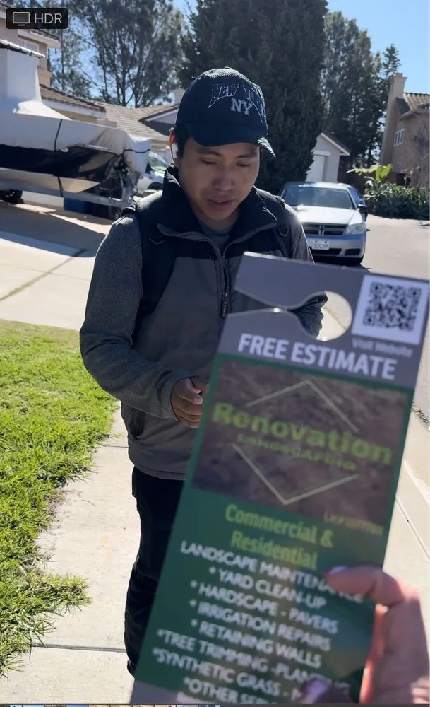 Expert yard maintenance in Bonita, CA - Renovation Landscaping