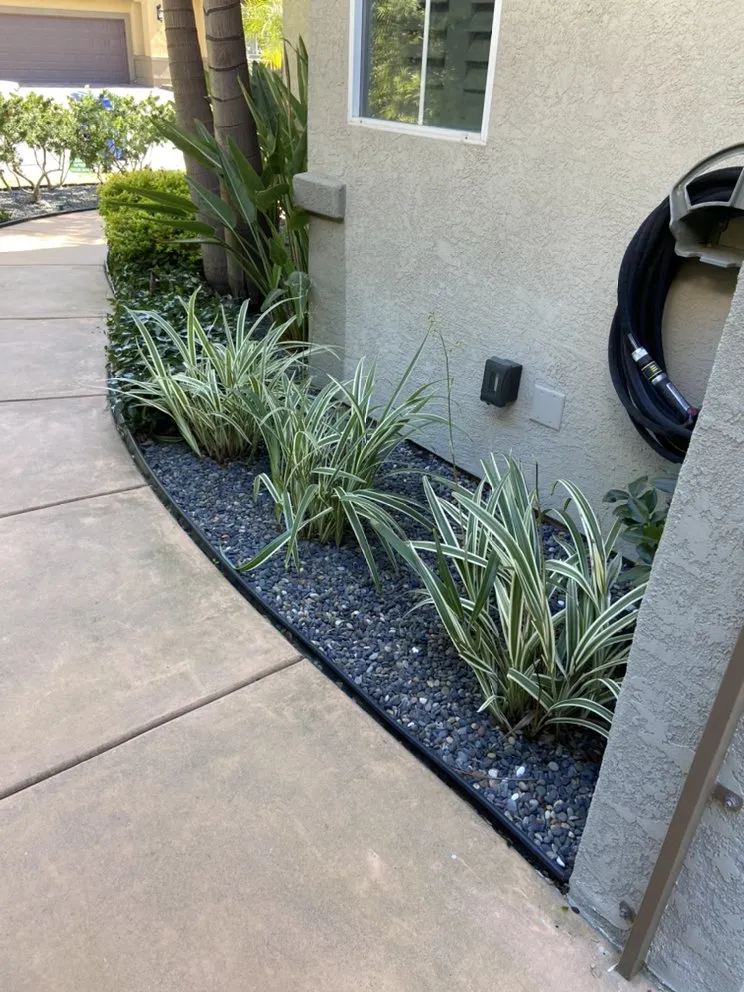 Local yard maintenance for residential properties across Bonita, CA - Renovation Landscaping