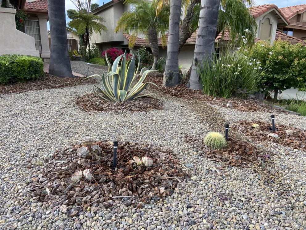 Reliable lawn care service in Bonita, CA - Renovation Landscaping