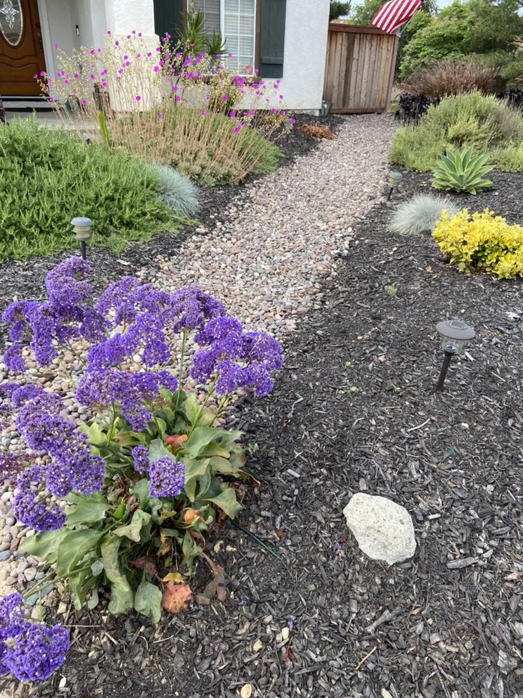 Reliable residential landscaping for residential properties across Bonita, CA - Renovation Landscaping