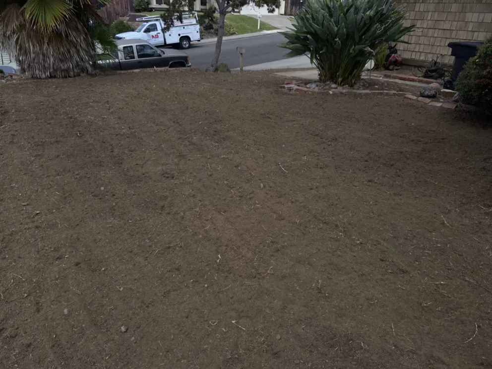 Custom garden landscaping for year-round maintenance in Bonita, CA by Renovation Landscaping