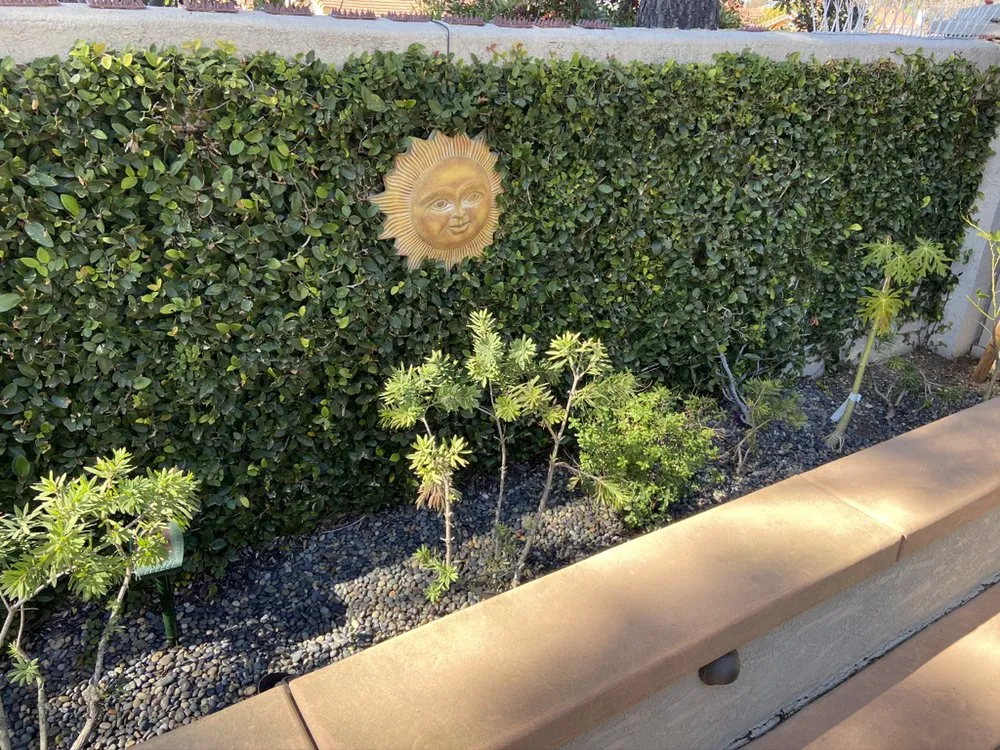 Professional residential landscaping in Bonita, CA by Renovation Landscaping