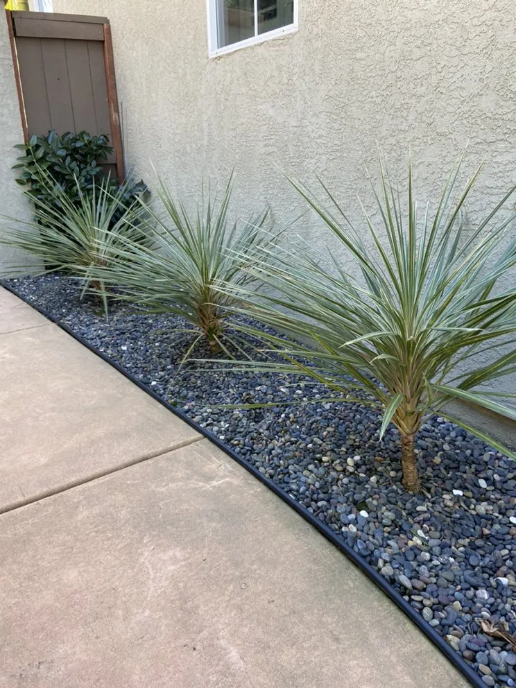 Top-rated lawn mowing service for beautiful yards across Bonita, CA - Renovation Landscaping