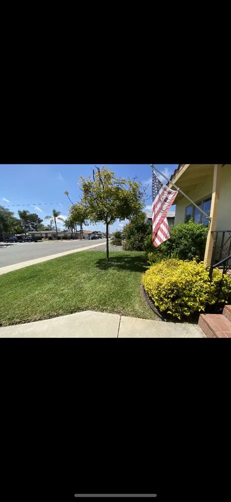 Professional landscape installation for homes across Bonita, CA - Renovation Landscaping