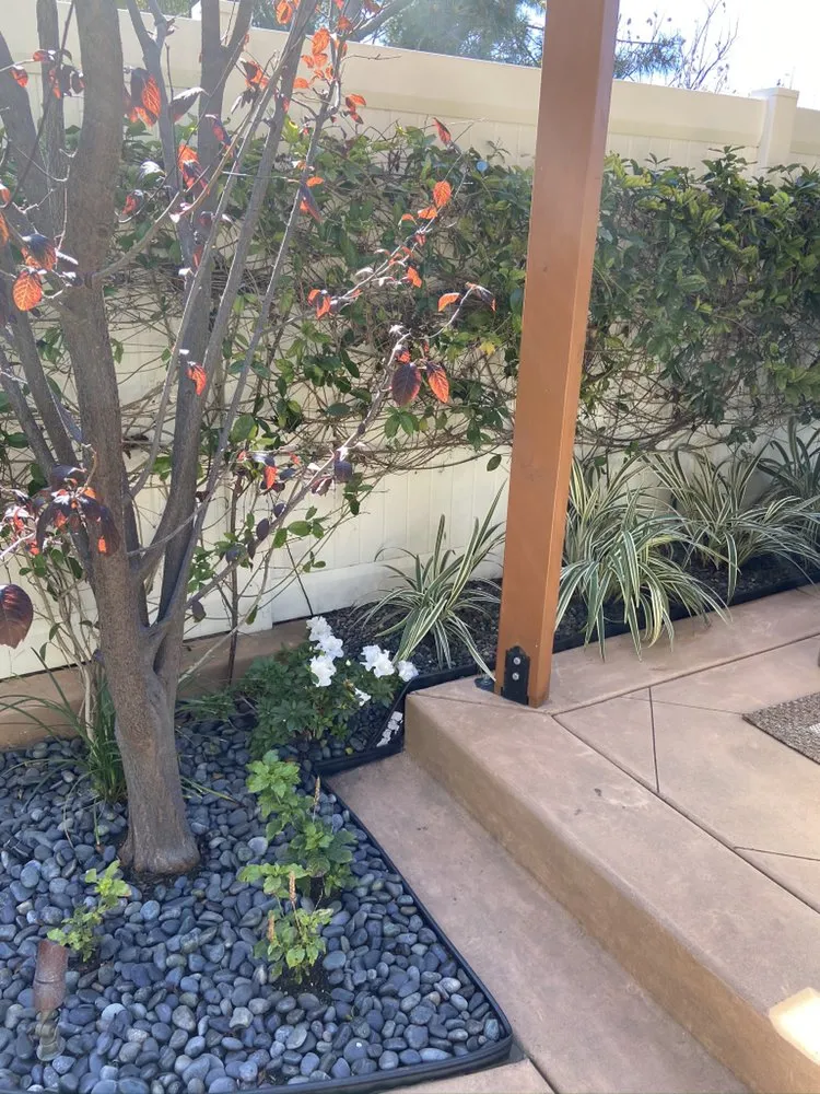 Affordable lawn care service in Bonita, CA by Renovation Landscaping