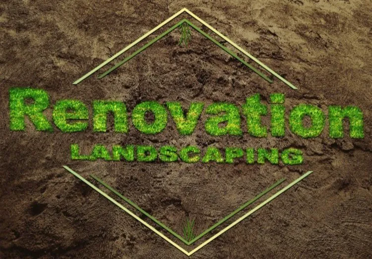 Local landscape installation in Bonita, CA by Renovation Landscaping