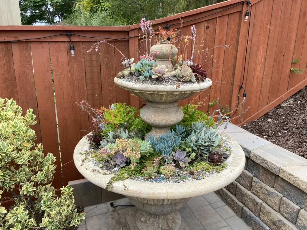 Trusted landscape design in Bonita, CA - Renovation Landscaping