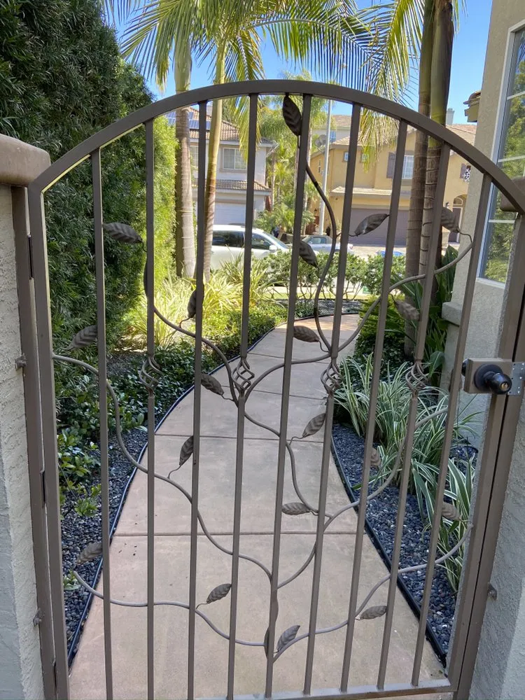 Expert yard cleanup service in Bonita, CA - Renovation Landscaping