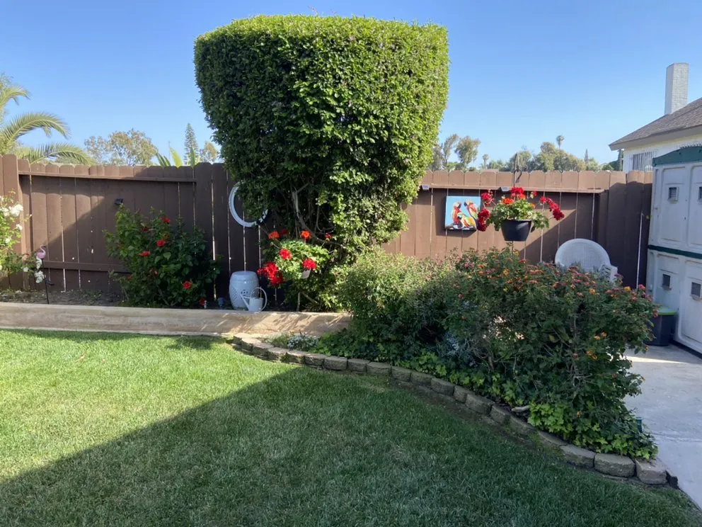 Local lawn care service for beautiful yards across Bonita, CA - Renovation Landscaping