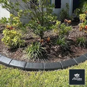 Expert yard maintenance in Mascotte, FL by Renovation outdoors