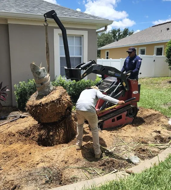 Trusted yard maintenance experts serving Mascotte, FL - Renovation outdoors