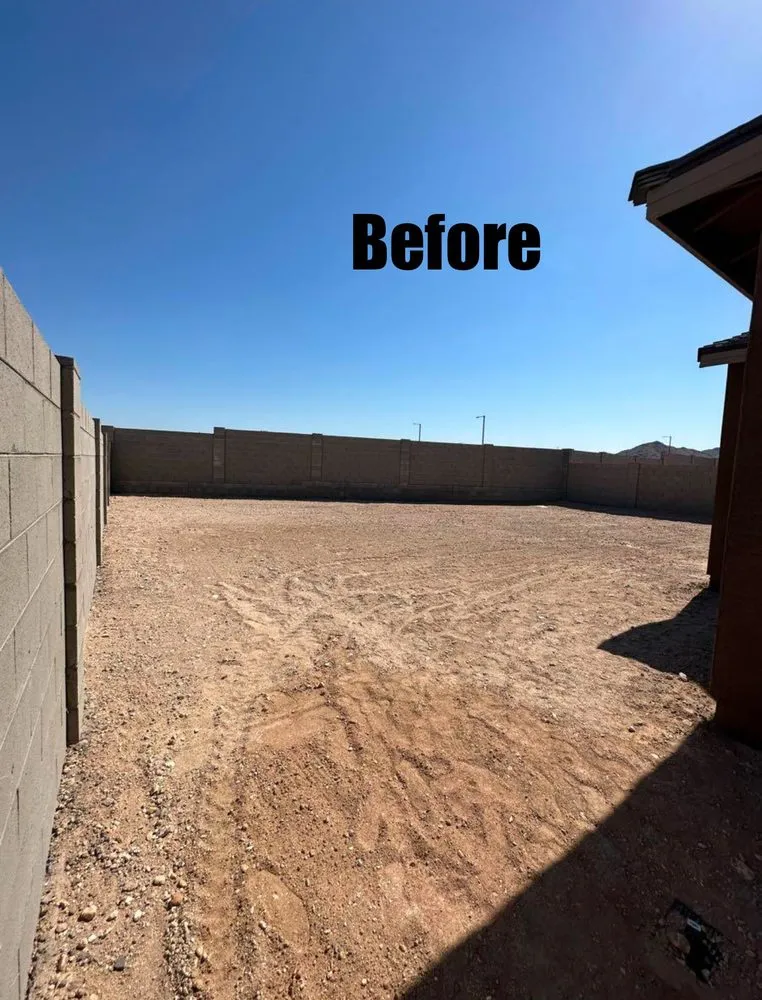 Custom lawn care service in Scottsdale, AZ by Renovation Pros