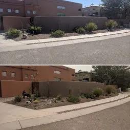 Reliable lawn care service for beautiful yards in Tucson, AZ by Renowned Landscaping