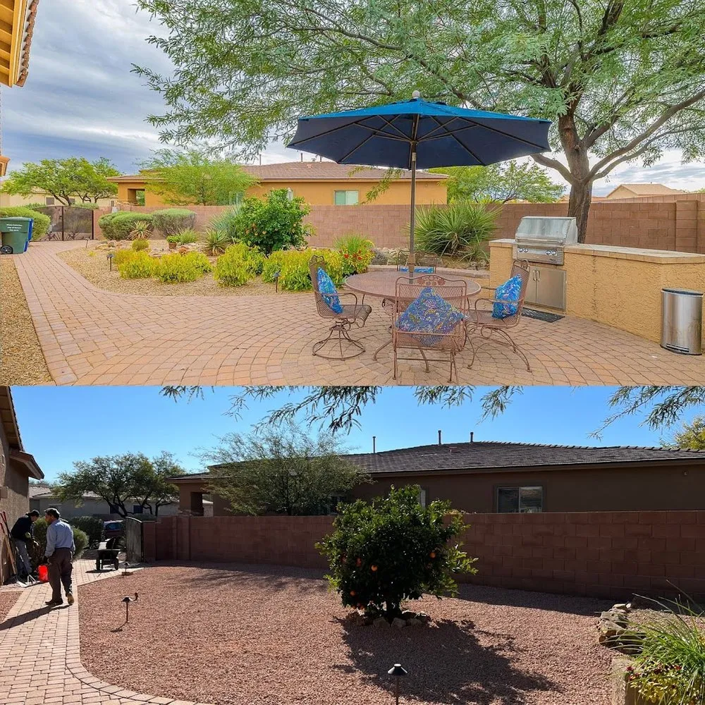 Affordable yard cleanup service experts serving Tucson, AZ - Renowned Landscaping