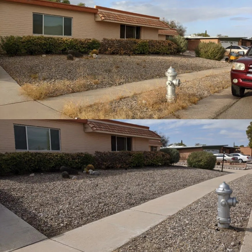 Custom landscape installation in Tucson, AZ by Renowned Landscaping
