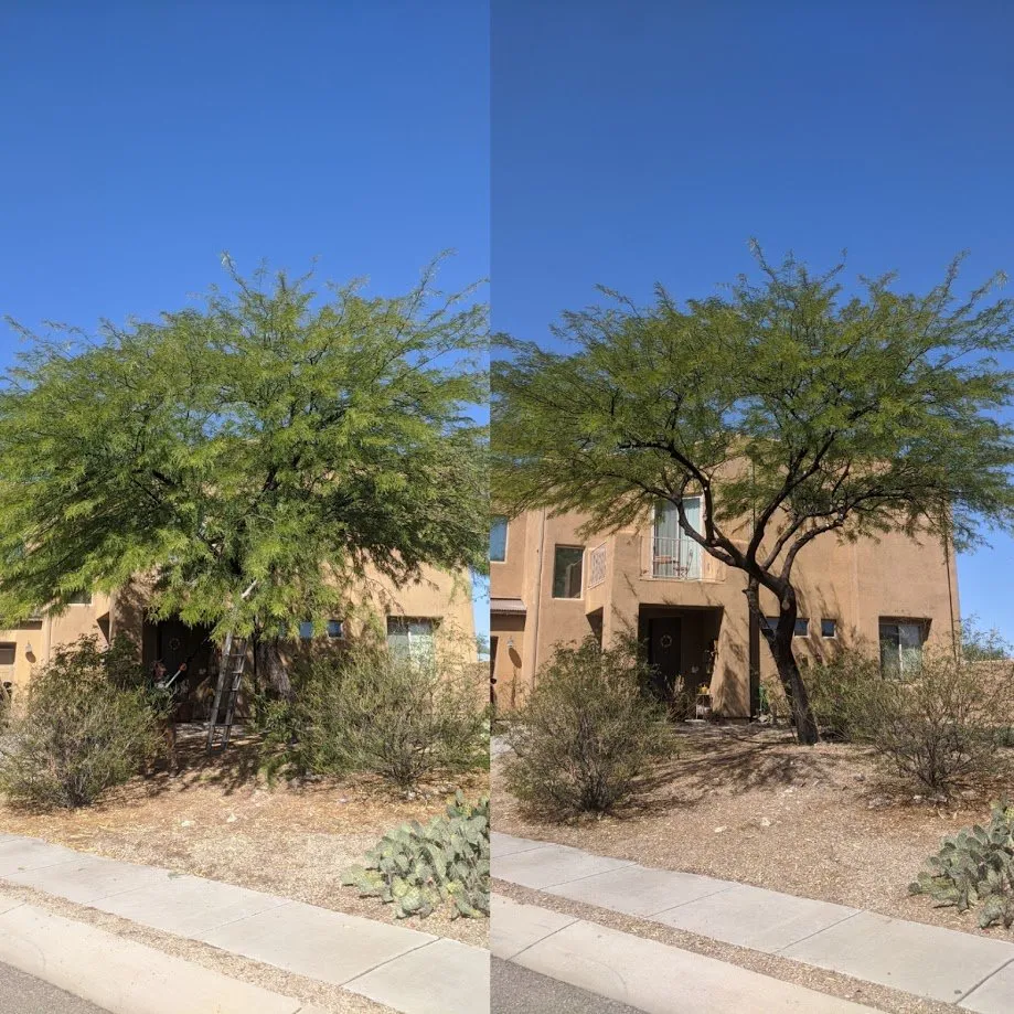 Custom outdoor landscaping near you across Tucson, AZ - Renowned Landscaping