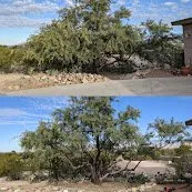 Top-rated lawn mowing service in Tucson, AZ - Renowned Landscaping