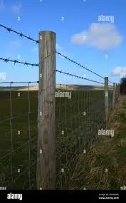 Trusted landscaping services experts serving Amarillo, TX - Renshaw Fencing