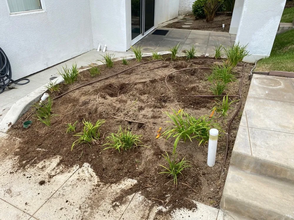 Custom garden landscaping near you across San Diego, CA - Renshaw Landscape Services