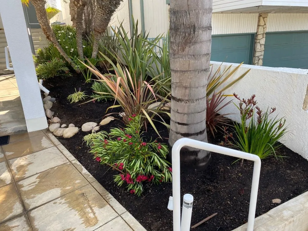 Professional landscape design near you in San Diego, CA by Renshaw Landscape Services