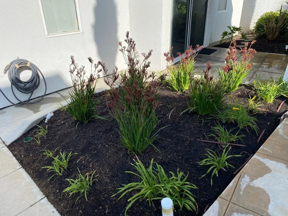 Reliable yard maintenance for beautiful yards in San Diego, CA by Renshaw Landscape Services