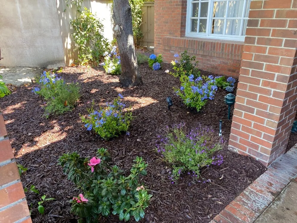 Top-rated outdoor landscaping experts serving San Diego, CA - Renshaw Landscape Services