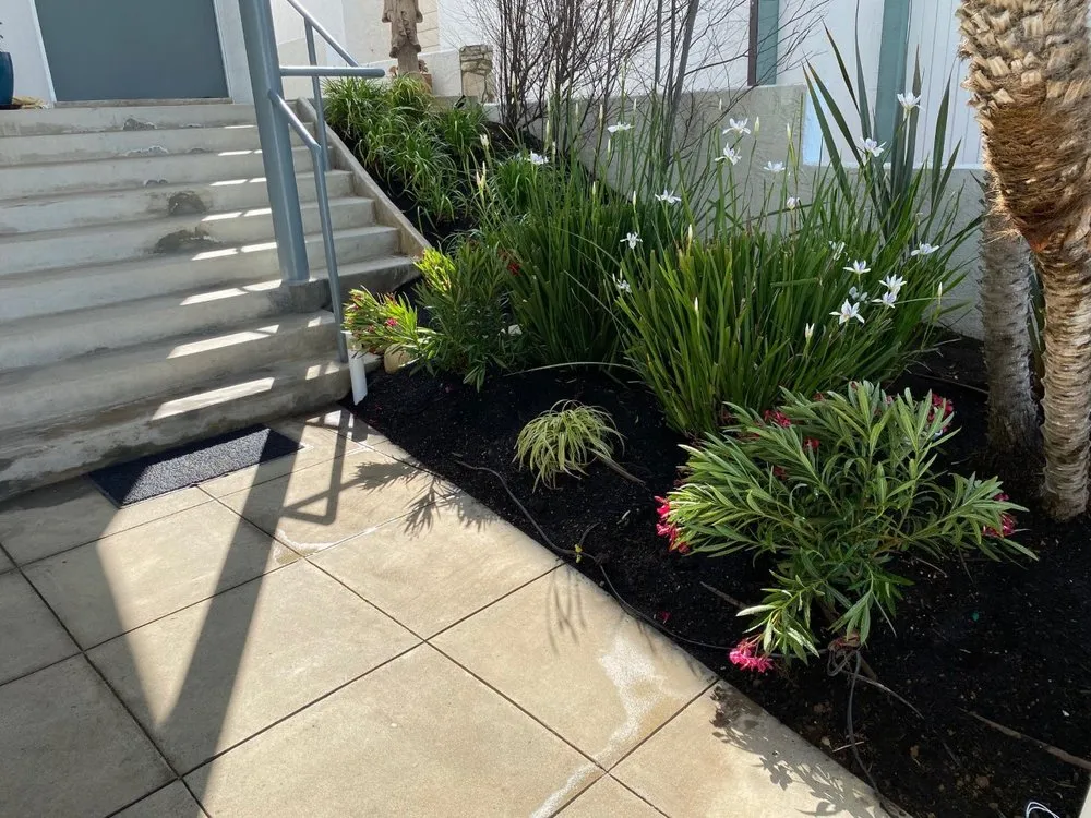 Trusted lawn mowing service for year-round maintenance in San Diego, CA by Renshaw Landscape Services