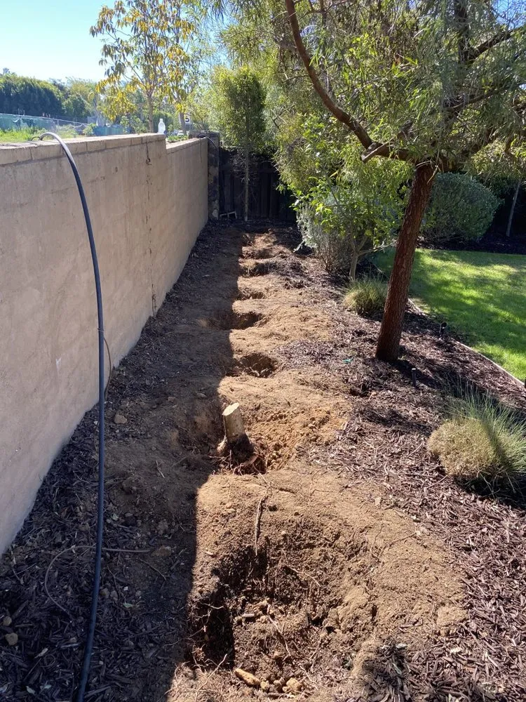 Reliable lawn mowing service near you in San Diego, CA by Renshaw Landscape Services