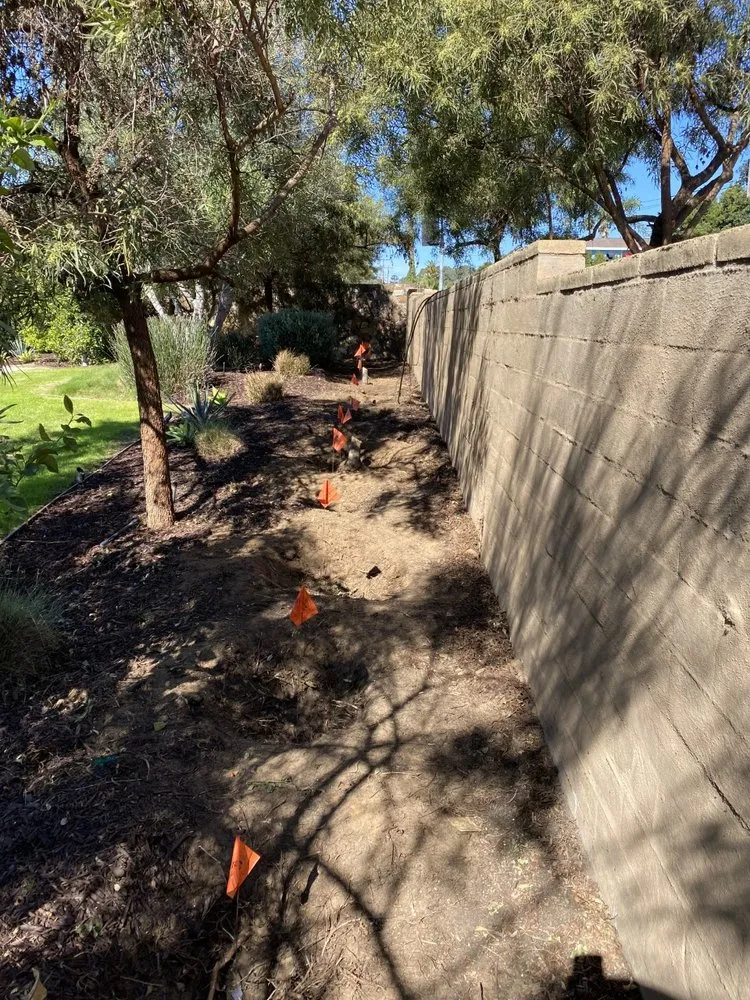 Local garden landscaping in San Diego, CA by Renshaw Landscape Services