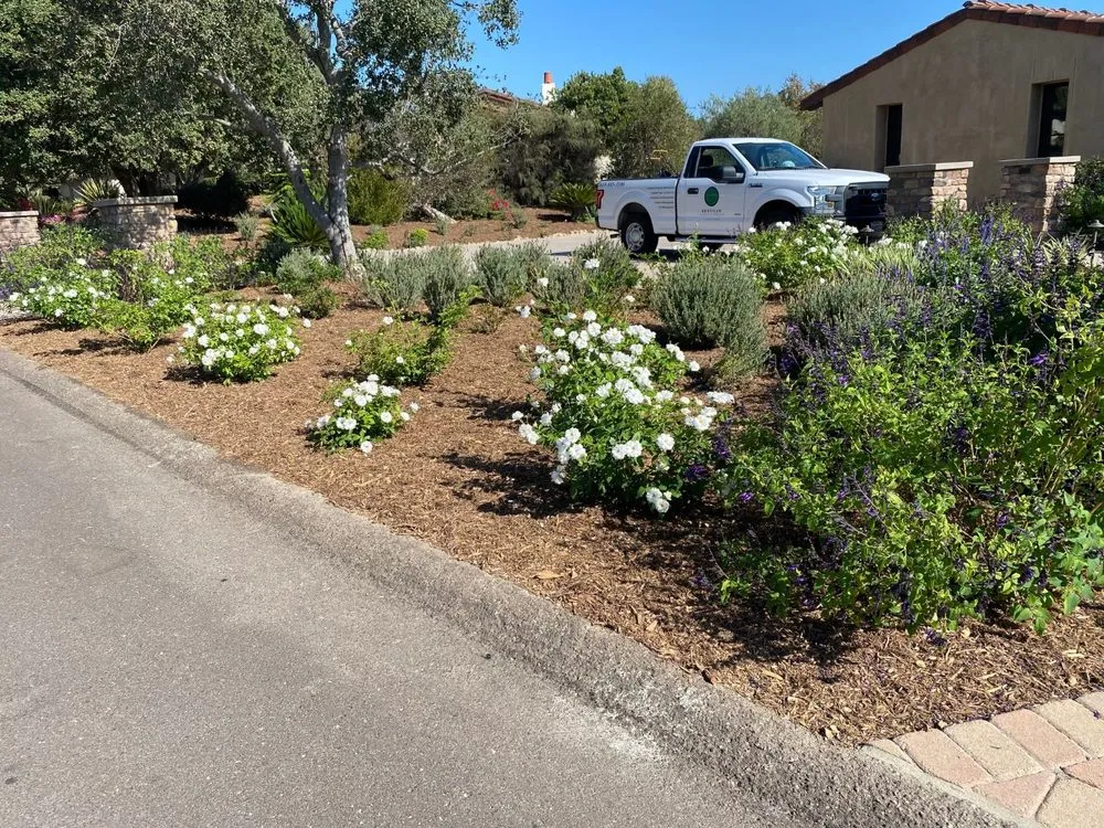 Top-rated garden landscaping in San Diego, CA by Renshaw Landscape Services