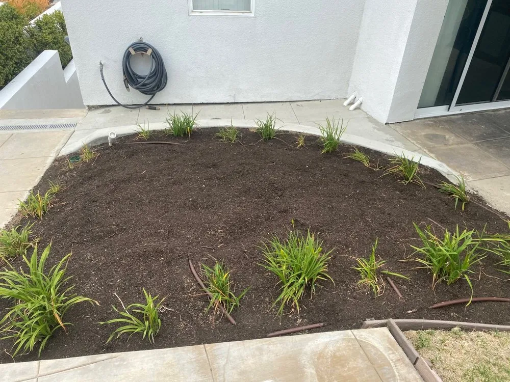 Top-rated residential landscaping in San Diego, CA by Renshaw Landscape Services