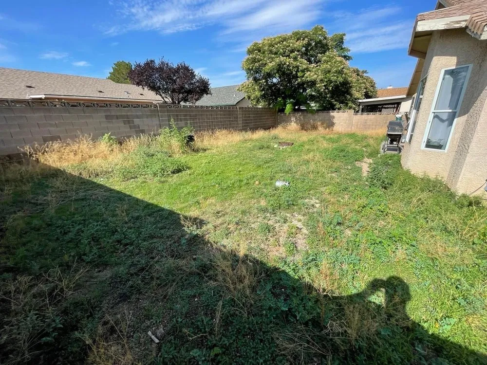 Local yard maintenance with custom design across Kingman, AZ - Rent-A-Dad