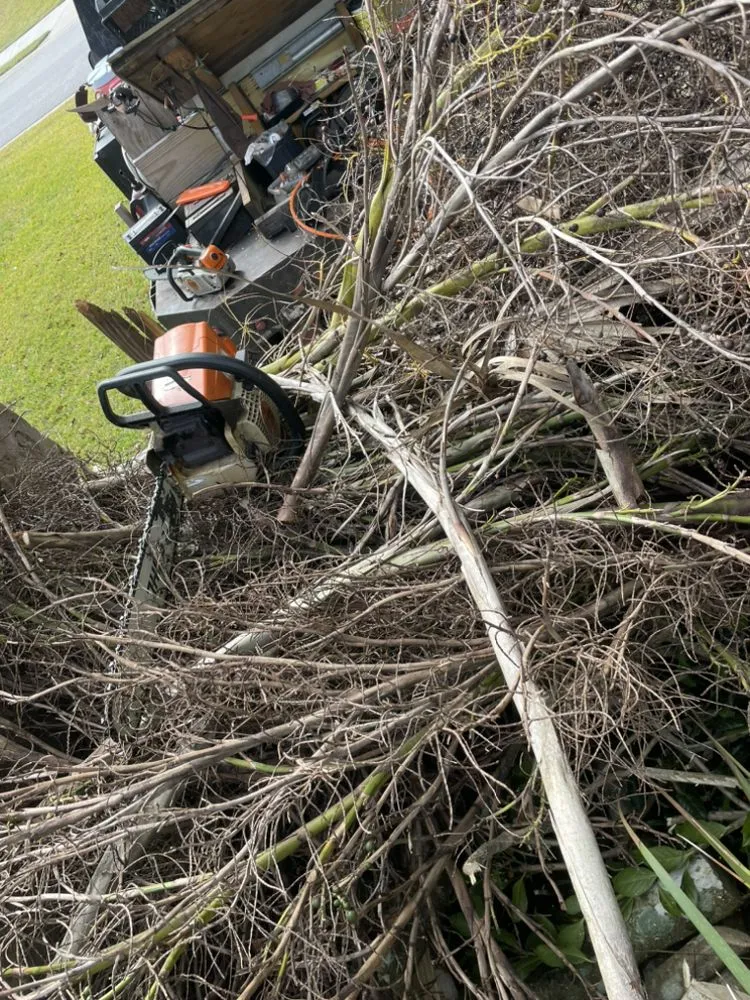 Professional yard maintenance in Belleview, FL - Rent A Dude