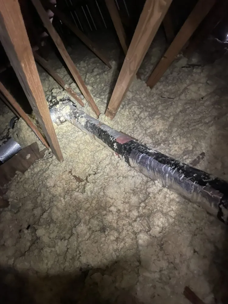 Local landscape design for beautiful yards in Belleview, FL by Rent A Dude