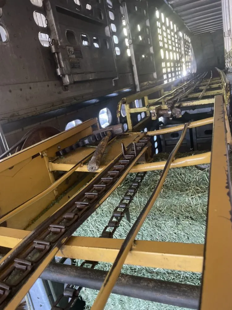 Expert yard cleanup service for residential properties across Belleview, FL - Rent A Dude