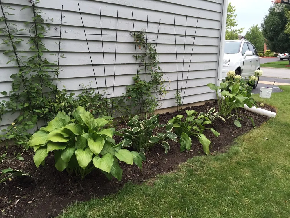 Affordable outdoor landscaping for year-round maintenance across Aurora, IL - Rent A Gardener