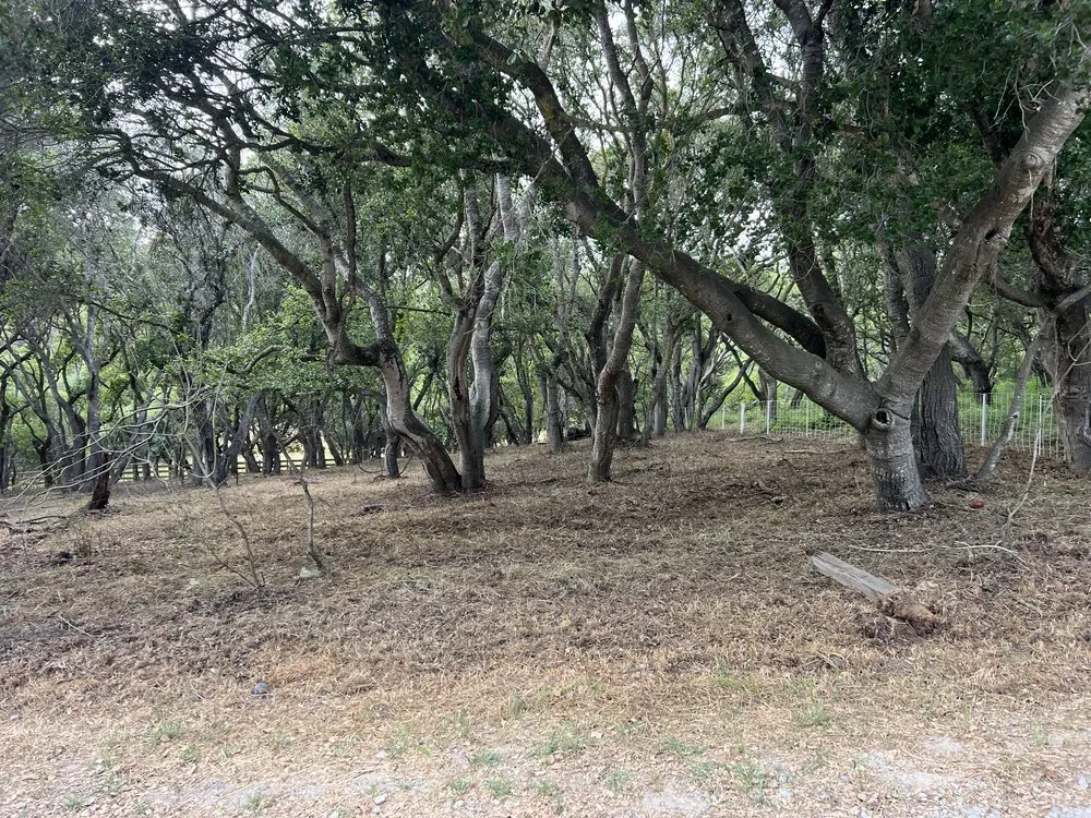 Local residential landscaping in Prunedale, CA by Rent A Goat 831