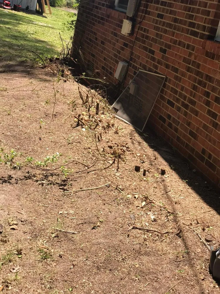 Custom yard cleanup service near you in Lumberton, NC by Rent A Husband