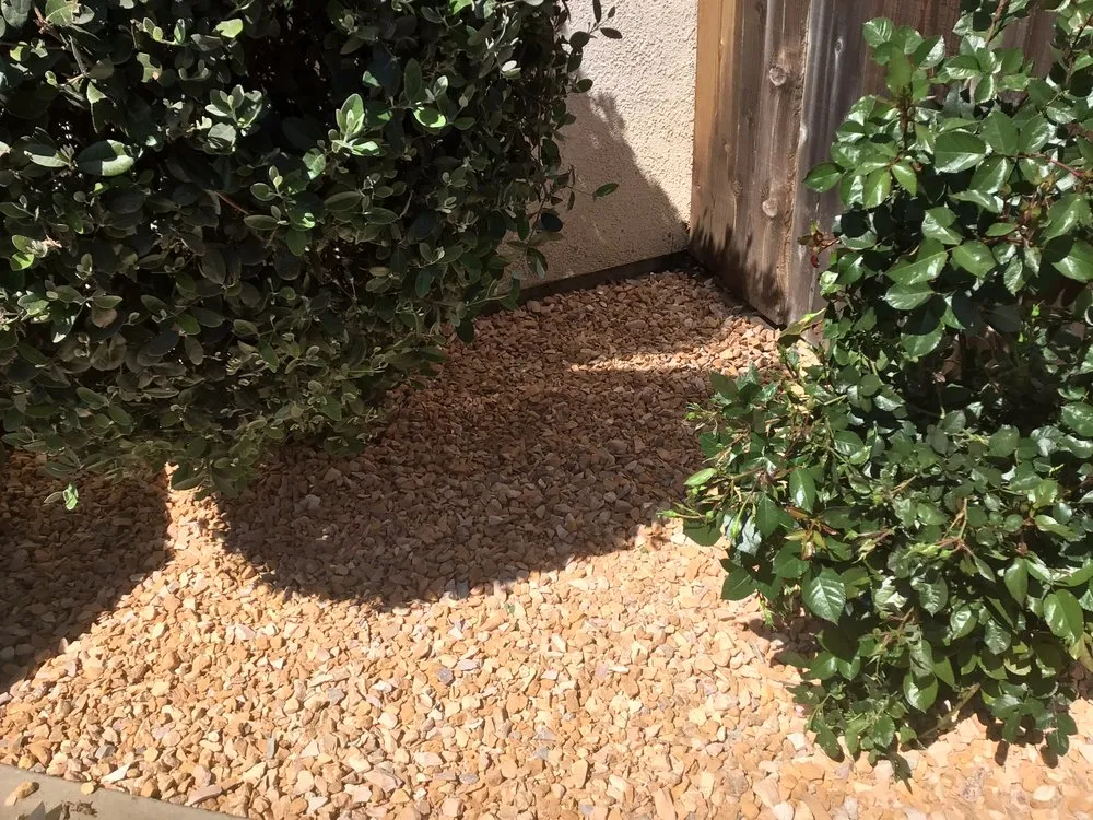 Affordable yard cleanup service in Visalia, CA - Renteria Lawn Service