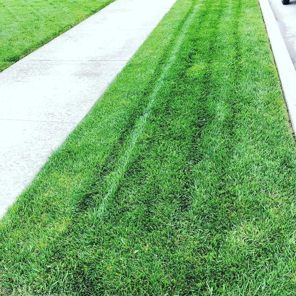 Custom landscape design in Visalia, CA - Renteria Lawn Service