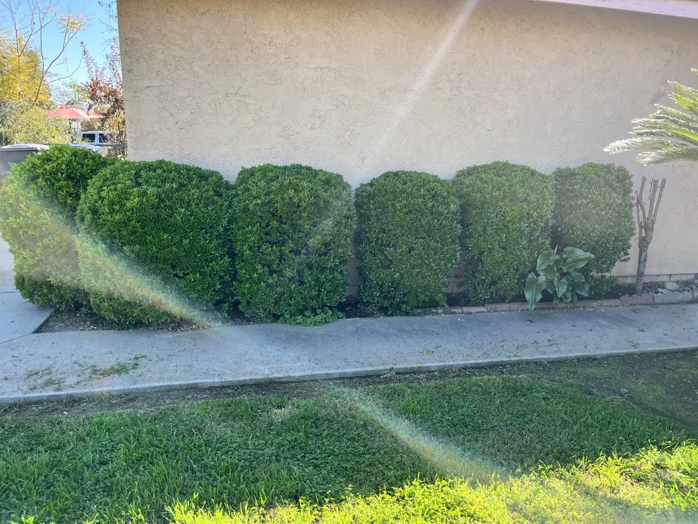 Trusted landscape design with custom design across Visalia, CA - Renteria Lawn Service