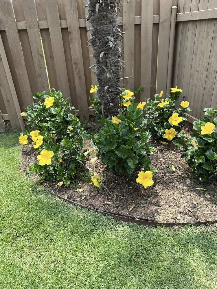 Professional residential landscaping in Shreveport, LA by Renter's Lawn & Landscaping