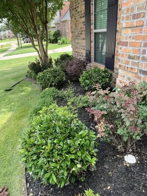 Renter's Lawn & Landscaping Logo