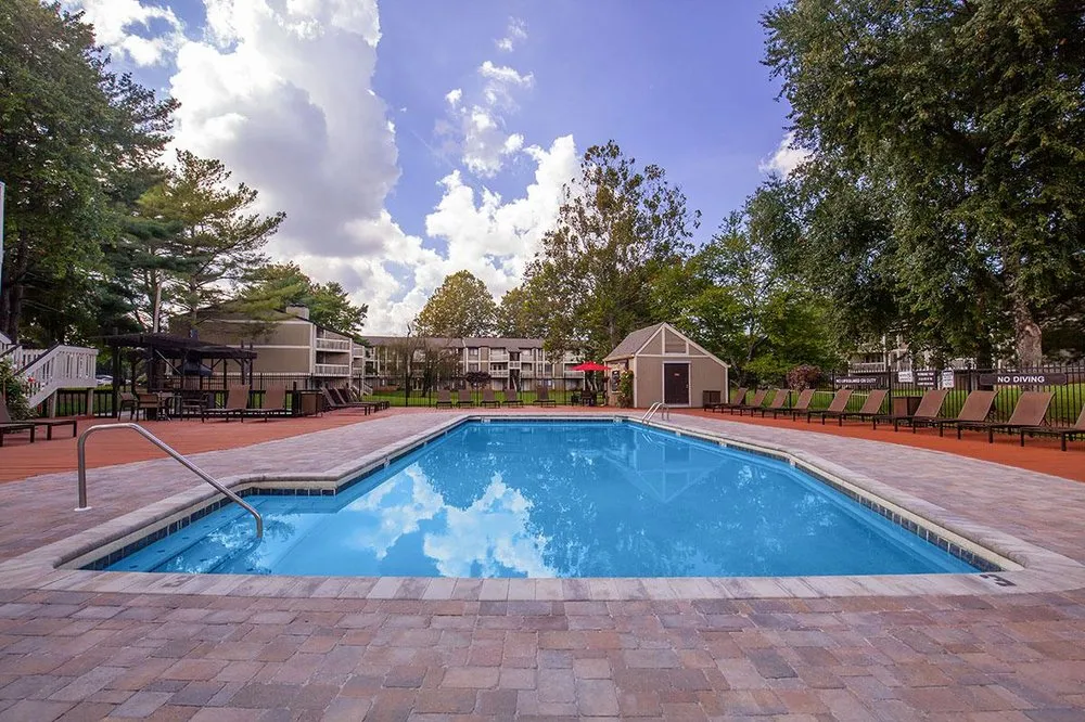 Expert lawn care service in Knoxville, TN by ReNu Landscapes