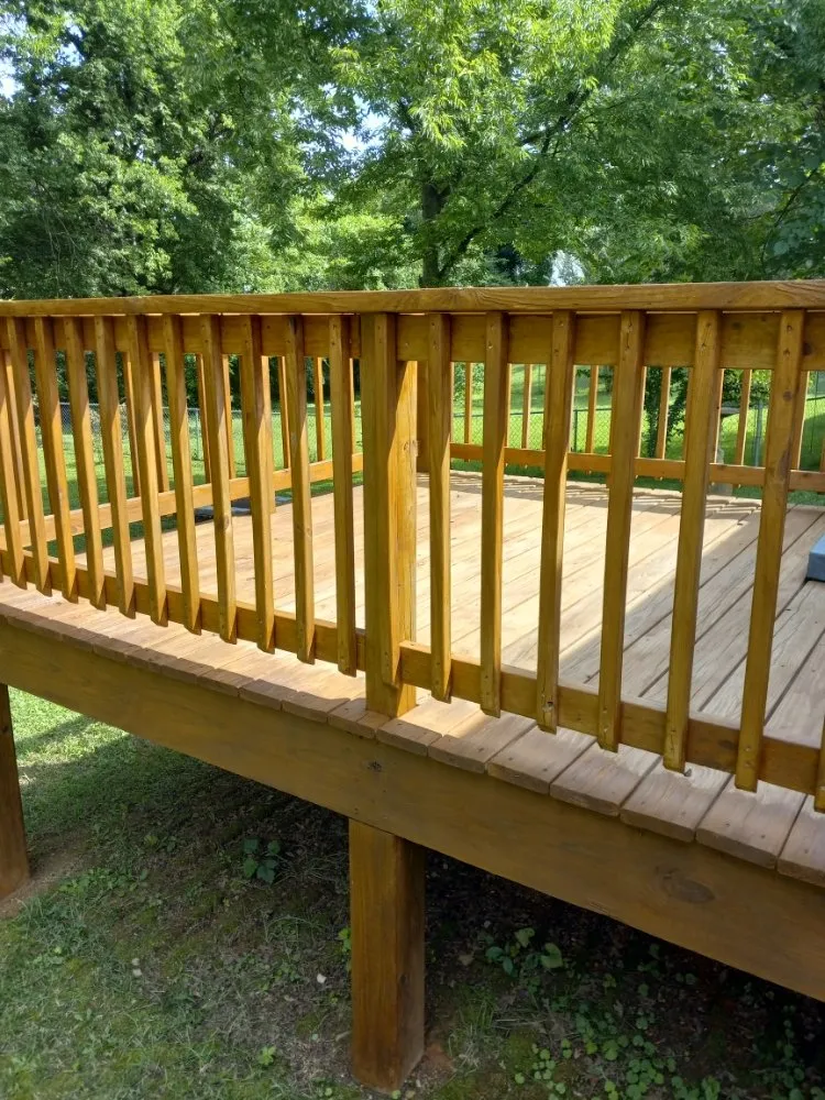 Professional yard maintenance for homes in South Daytona, FL by Renu Powerwash