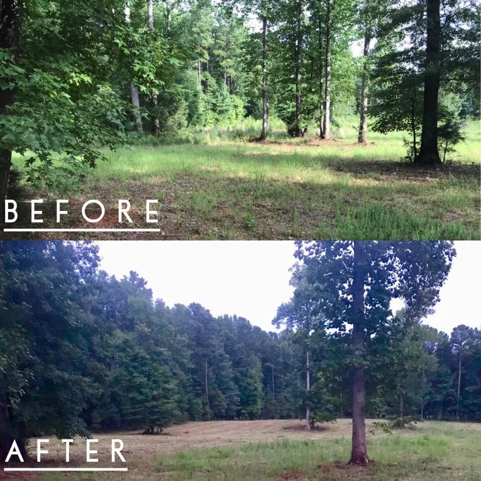 Expert garden landscaping in Winnsboro, SC by Renwick's Lawn Service