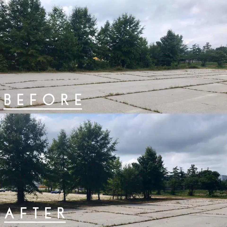 Affordable landscape installation in Winnsboro, SC - Renwick's Lawn Service