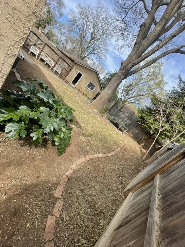 Expert landscape design experts serving Gridley, CA - REP Landscape