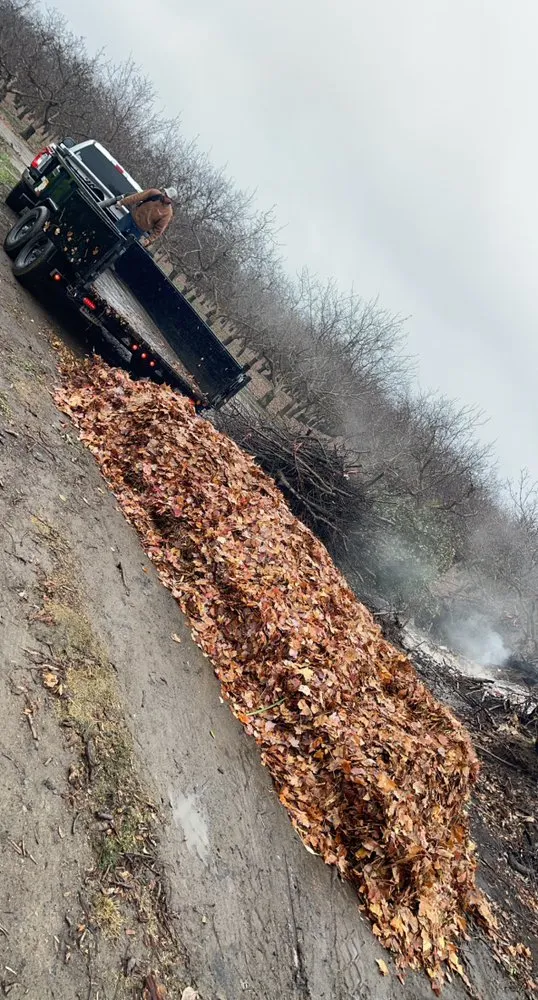 Top-rated garden landscaping for year-round maintenance across Gridley, CA - REP Landscape